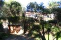 Property photo of 112 Whale Beach Road Whale Beach NSW 2107
