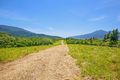 Property photo of 307R Dalton Road Aloomba QLD 4871
