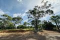 Property photo of 18 Salacca Loop Kununurra WA 6743