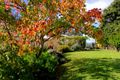 Property photo of 5148 Henry Parkes Way Manildra NSW 2865
