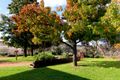 Property photo of 5148 Henry Parkes Way Manildra NSW 2865
