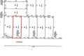 Property photo of 40 Middle Parkway Canning Vale WA 6155