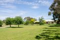 Property photo of 89 Ruwoldt Road Yahl SA 5291