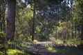 Property photo of 271 Redgate Road Witchcliffe WA 6286