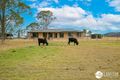 Property photo of 5 Wheeldons Access Turners Flat NSW 2440