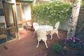 Property photo of 336 Albert Road South Melbourne VIC 3205