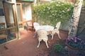 Property photo of 336 Albert Road South Melbourne VIC 3205