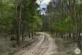 Property photo of 75 Stringybark Track Mollongghip VIC 3352