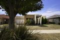 Property photo of 36 Strayleaf Crescent Gungahlin ACT 2912