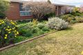 Property photo of 13 Kavanagh Circuit Temora NSW 2666