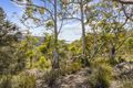Property photo of 7308 Tasman Highway Orford TAS 7190