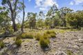 Property photo of 7308 Tasman Highway Orford TAS 7190
