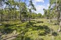 Property photo of 7308 Tasman Highway Orford TAS 7190