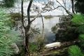 Property photo of 36 McLeod Street Kirwans Bridge VIC 3608