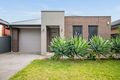 Property photo of 5 Ralli Street Plympton Park SA 5038