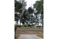Property photo of 125 Anderson Road Bayview Heights QLD 4868