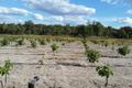 Property photo of 894 Amiens Road South Amiens QLD 4380
