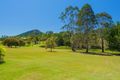 Property photo of 421 Eumundi Range Road Eumundi QLD 4562