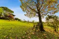 Property photo of 47 Bunya Street Maleny QLD 4552