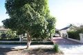 Property photo of 29 Spruce Avenue Warradale SA 5046