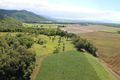 Property photo of 18 Ferrero Road Craiglie QLD 4877