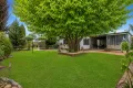 Property photo of 16 Barrhead Street Cohuna VIC 3568
