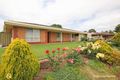 Property photo of 19 Potter Drive Woodcroft SA 5162