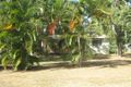 Property photo of 20 Racecourse Road Cooktown QLD 4895