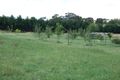 Property photo of 1129 Millthorpe Road Millthorpe NSW 2798