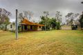 Property photo of 55 Toolakea Beach Road Bluewater QLD 4818