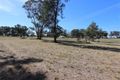 Property photo of 25 Pykes Lane Coolamon NSW 2701