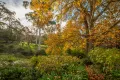 Property photo of 1 Nara Road Stirling SA 5152