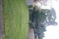 Property photo of 30 Alfred Street Woody Point QLD 4019