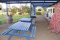 Property photo of 16-17 Railway Terrace Kalangadoo SA 5278