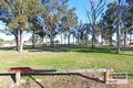 Property photo of 36 Carlyle Crescent Cambridge Gardens NSW 2747
