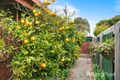 Property photo of 19 Centre Dandenong Road Dingley Village VIC 3172