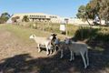 Property photo of 359 Nairne Road Woodside SA 5244