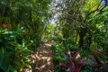 Property photo of 34 Wells Street Ludmilla NT 0820