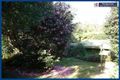Property photo of 23 Forestry Road Springbrook QLD 4213