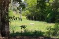 Property photo of 1310 Caboolture River Road Rocksberg QLD 4510