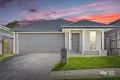 Property photo of 19 Lemon Crescent Greenbank QLD 4124