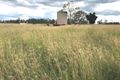 Property photo of 124 Phillips Road Lower Wonga QLD 4570