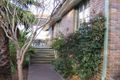 Property photo of 51 Iolanda Street Rye VIC 3941
