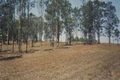 Property photo of 2 Rosella Drive Wingham NSW 2429