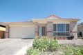 Property photo of 8 Gila Place Springfield QLD 4300
