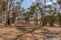 Property photo of 5 Borrowpit Road Meadow Flat NSW 2795