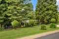 Property photo of 12 Wilson Street Wentworth Falls NSW 2782
