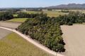 Property photo of 47061 Bruce Highway South Bambaroo QLD 4850