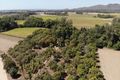 Property photo of 47061 Bruce Highway South Bambaroo QLD 4850