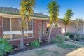 Property photo of 31 Marshall Avenue Pinjarra WA 6208